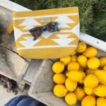Pelin Karahan Instagram - 🍋🍋🍋 Limon Gümüşlük