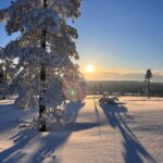 Pelin Karahan Instagram - Lapland, Finland