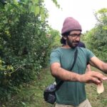 Penn Badgley Instagram – A Sunday of apple picking before the guy on the end there becomes a father. Edit: *not me. Other guy at the end.