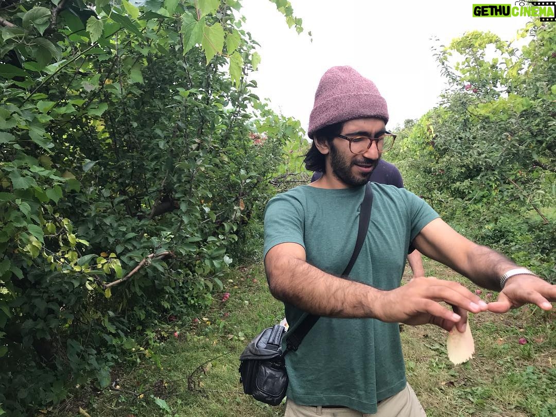 Penn Badgley Instagram - A Sunday of apple picking before the guy on the end there becomes a father. Edit: *not me. Other guy at the end.