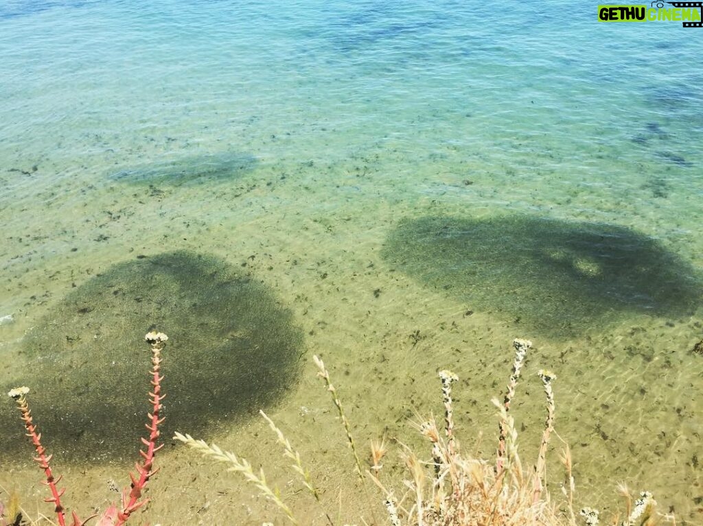 Penn Badgley Instagram - Extra chill fish hang, seen in Santa Cruz Santa Cruz West Cliff