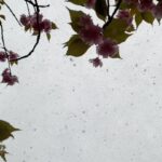 Penn Badgley Instagram – Sometimes It Snows In May