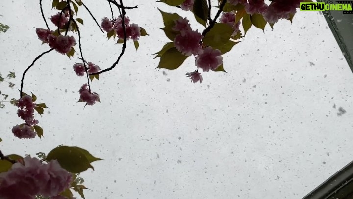 Penn Badgley Instagram - Sometimes It Snows In May