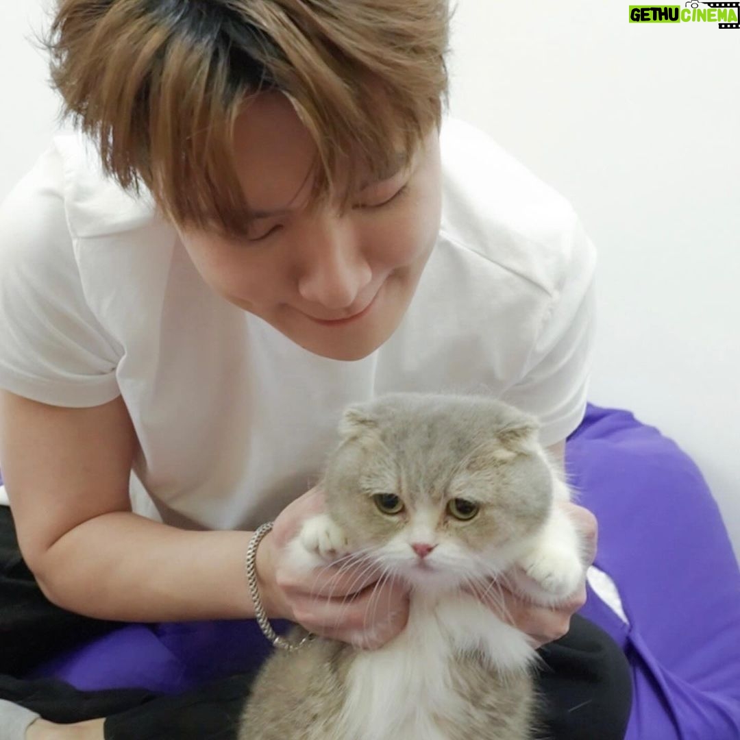 Perawat Sangpotirat Instagram - 🗣️ข่าวด่วนสำหรับทาสแมวค้าบบบ 😽ตอนนี้วิสกัสเขาออกสูตรใหม่!!! วิสกัสเทสตี้มิกซ์ในเนื้อเจลลี่ รสชาติใหม่ สไตล์ญี่ปุ่น ทำจากปลา ไก่ และผักแท้ๆ รับรองน้องแมวต้องฟินกินแล้วขอเบิ้ลกินอีกแน่นอน แบบเจ้ามัฟฟินเนี่ย!🐟🥦🥕 🙋🏻ใครที่กำลังมองหาอาหารน้องแมวที่สารอาหารครบขนาดนี้ ต้องรับจัดเลยนะครับ Whiskas เขากำลังมีโปรพิเศษ ส่งซองลุ้นไปเที่ยวญี่ปุ่นฟรีตลอดทริปด้วยน้า ห้ามพลาดเด็ดขาดเลยนะครับบบบบ แม๊ววว😻 #WhiskasxKrist #KristxWhiskas #Whiskas #WhiskasTastyMix