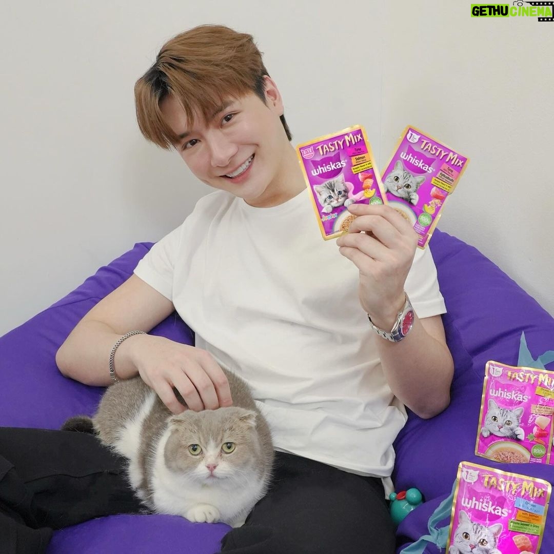 Perawat Sangpotirat Instagram - 🗣️ข่าวด่วนสำหรับทาสแมวค้าบบบ 😽ตอนนี้วิสกัสเขาออกสูตรใหม่!!! วิสกัสเทสตี้มิกซ์ในเนื้อเจลลี่ รสชาติใหม่ สไตล์ญี่ปุ่น ทำจากปลา ไก่ และผักแท้ๆ รับรองน้องแมวต้องฟินกินแล้วขอเบิ้ลกินอีกแน่นอน แบบเจ้ามัฟฟินเนี่ย!🐟🥦🥕 🙋🏻ใครที่กำลังมองหาอาหารน้องแมวที่สารอาหารครบขนาดนี้ ต้องรับจัดเลยนะครับ Whiskas เขากำลังมีโปรพิเศษ ส่งซองลุ้นไปเที่ยวญี่ปุ่นฟรีตลอดทริปด้วยน้า ห้ามพลาดเด็ดขาดเลยนะครับบบบบ แม๊ววว😻 #WhiskasxKrist #KristxWhiskas #Whiskas #WhiskasTastyMix