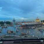 Perawat Sangpotirat Instagram - ❤️🤙🏻 Tokyo DisneySea