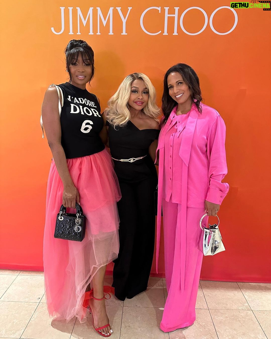 Phaedra Parks Instagram - The right shoe can make everything different. -Jimmy Choo but the right woman can make anything perfect! Kudos to #JimmyChoo #President Jaime Wynn @its_jme24 on a fabulous #grandopening! π #blackgirlmagic