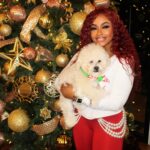 Phaedra Parks Instagram - My boo @phoenixisphun is ready for Christmas 🎄🎅🏾🐶 #dogsofinstagram Thanks @th_grooming for keeping him so fresh & clean 😘