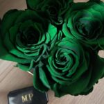 Phakphum Romsaithong Instagram - ,,, Greeny Rosie(sssss) In My Phone🌹💚 ,,, . . #GreenyRose