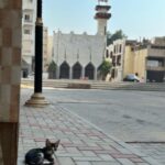 Phakphum Romsaithong Instagram - ,,, Old Photos When I Was In Saudi Arabia Dec, 2022 || Excited For 2023, I’m Here Again😎🤓 ,,, Jeddah, Saudi Arabia