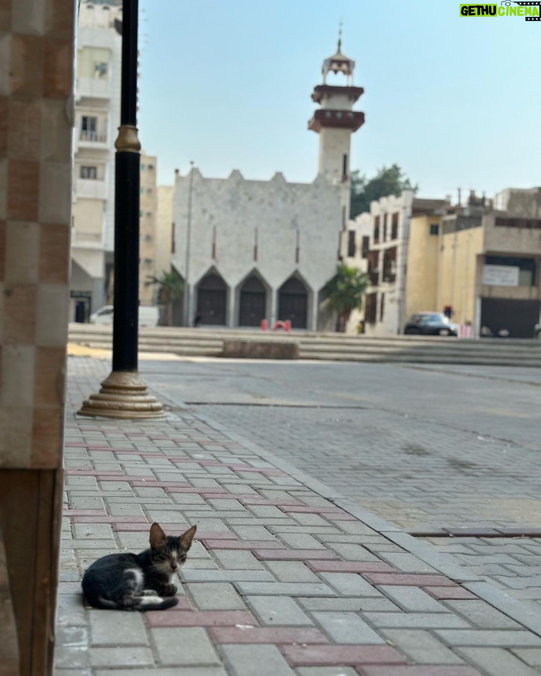 Phakphum Romsaithong Instagram - ,,, Old Photos When I Was In Saudi Arabia Dec, 2022 || Excited For 2023, I’m Here Again😎🤓 ,,, Jeddah, Saudi Arabia