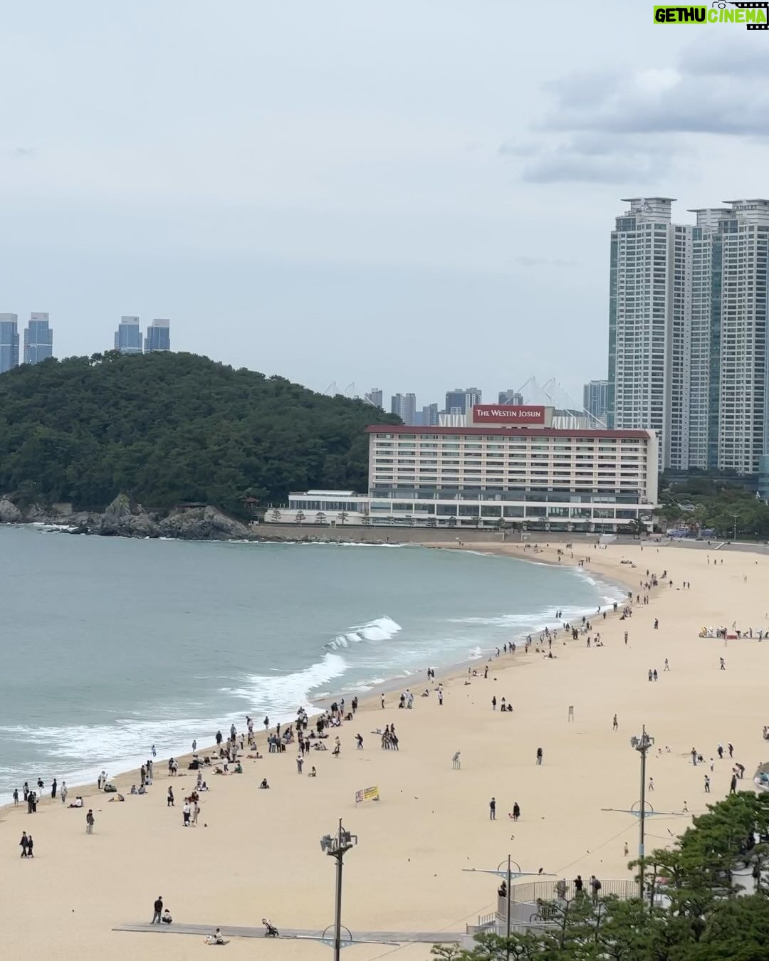 Phantira Pipityakorn Instagram - ~20c Busan 釜山, South Korea