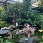 Phantira Pipityakorn Instagram – 🦋🌳🦛🕺🏻✨

#mintiratravelwnoregrets Melbourne Zoo