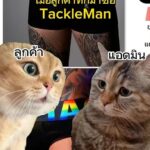 Pharanyu Rojanawuttitham Instagram - 🤣🤣🤣🤣🤣 @tack.tackleman โคตรจะแมวเลย กางเกงในที่ใครๆก็ใส่ได้#กางเกงใน#แมว#แมวบ่น#ทาสแมว