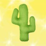 Phil Lester Instagram - My new 🌵HYDRATED💦 merch collection is out now - ft. two new shirts, a cactus cushion and a holographic tote! I feel a deep emotional connection to these items and their very important health message - I hope you all feel the same. 🌍 amazingphilshop.com 🇺🇸 us.amazingphilshop.com