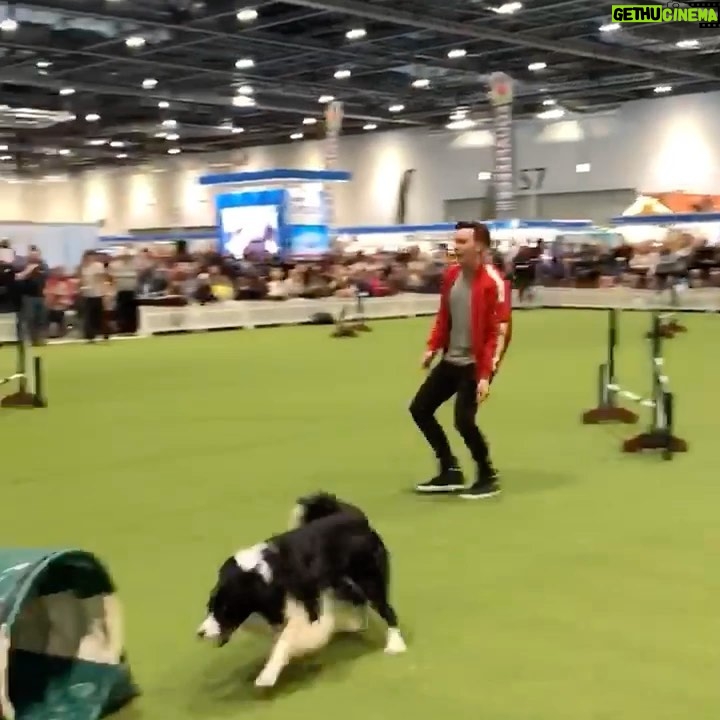 Phil Lester Instagram - So.. I led a dog around an agility course today! (or let’s be real the dog led me) 🐶