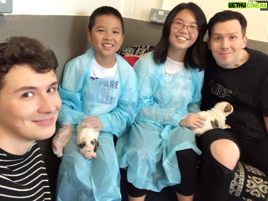 Phil Lester Instagram - Got to pet these tiny puppies today so it’s all downhill from here. Thanks to @rachael__pie (and her bro) for hanging out with us and @makeawishuk and @battersea for making it happen! Swipe to the next pic for some extreme puppy dog eyes 🐶 Battersea Dog and Cats Home