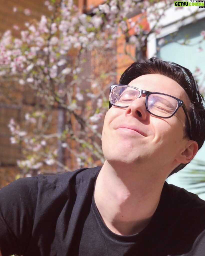 Phil Lester Instagram - We had the first sunny day of spring in London! Our cherry blossom decided to bloom and now I miss Japan 🌸