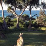 Phil Lester Instagram - Aussie adventures / lake lads / beach bros / kangaroo krew Stradbroke Island