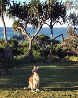 Phil Lester Instagram - Aussie adventures / lake lads / beach bros / kangaroo krew