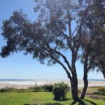 Phil Lester Instagram - Aussie adventures / lake lads / beach bros / kangaroo krew Stradbroke Island