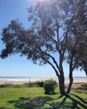 Phil Lester Instagram - Aussie adventures / lake lads / beach bros / kangaroo krew