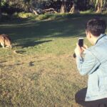 Phil Lester Instagram - Aussie adventures / lake lads / beach bros / kangaroo krew Stradbroke Island