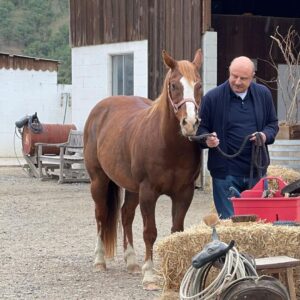 Phil McGraw Instagram - Just horsing around.