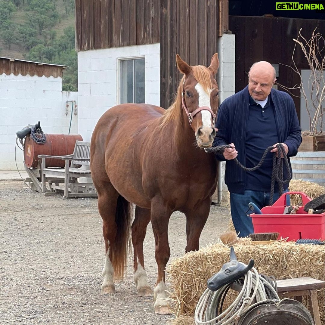 Phil McGraw - 40.7K Likes - Just horsing around.