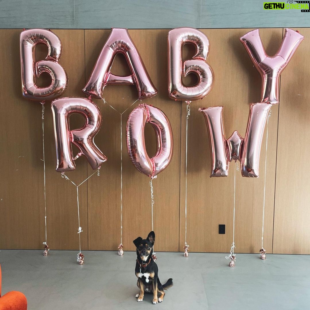 Phil McGraw - 26.7K Likes - Row’s welcoming committee/personal security! By the way... I am OF COURSE her favorite.
