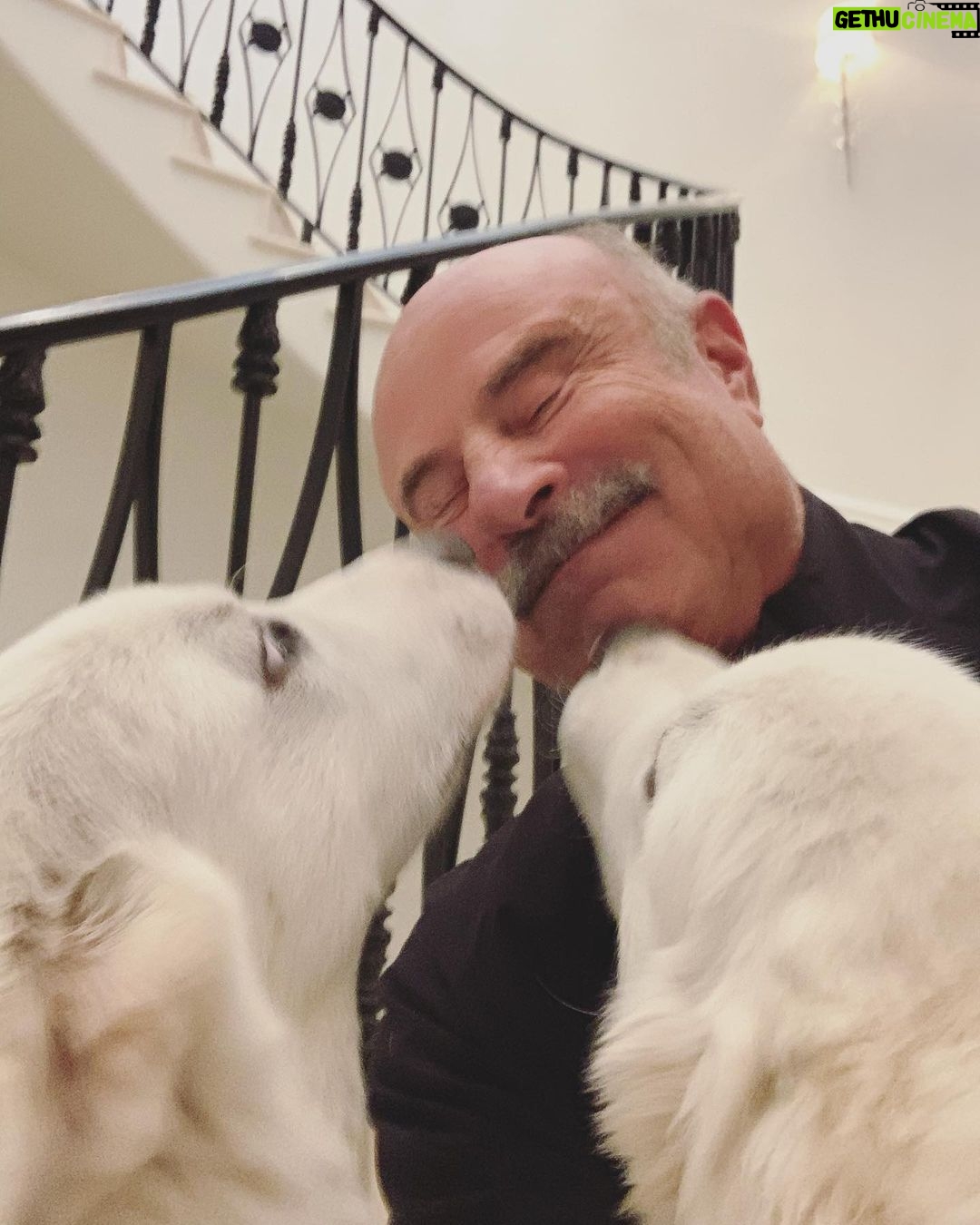Phil McGraw - 40K Likes - If you don’t hear from me in 5 minutes... send treats.
