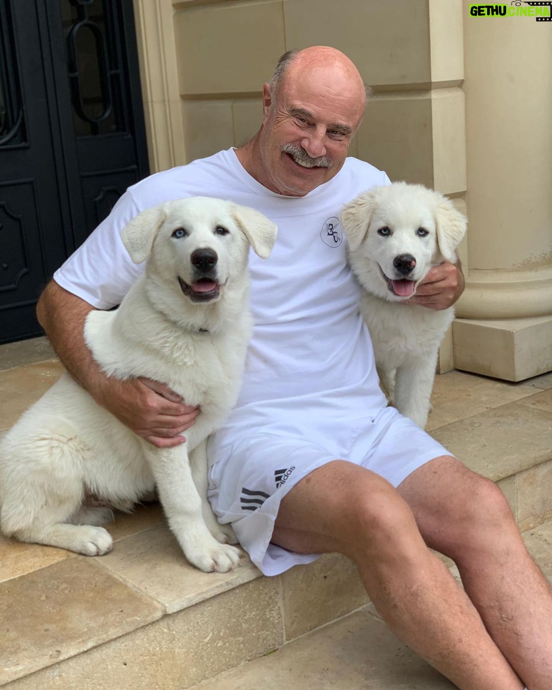Phil McGraw - 86.3K Likes - Hanging with pups. Einstein and Blue on a Saturday afternoon! Only better than a good rescue pup, is TWO good rescue pups! #rescuedog #rescuedogsofinstagram