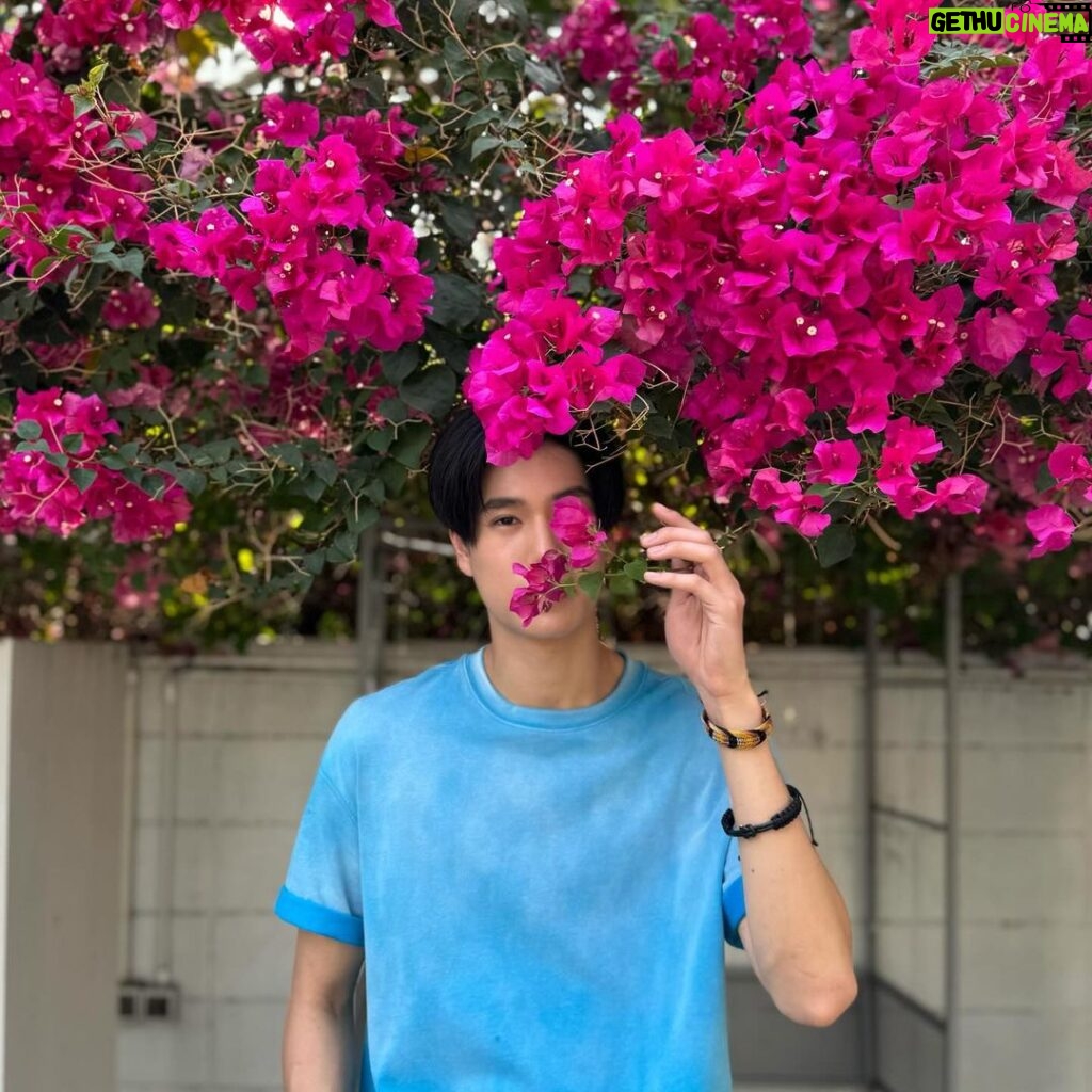 Phuwin Tangsakyuen Instagram - กลิ่นดอกไม้