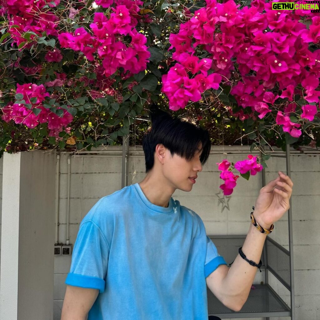 Phuwin Tangsakyuen Instagram - กลิ่นดอกไม้
