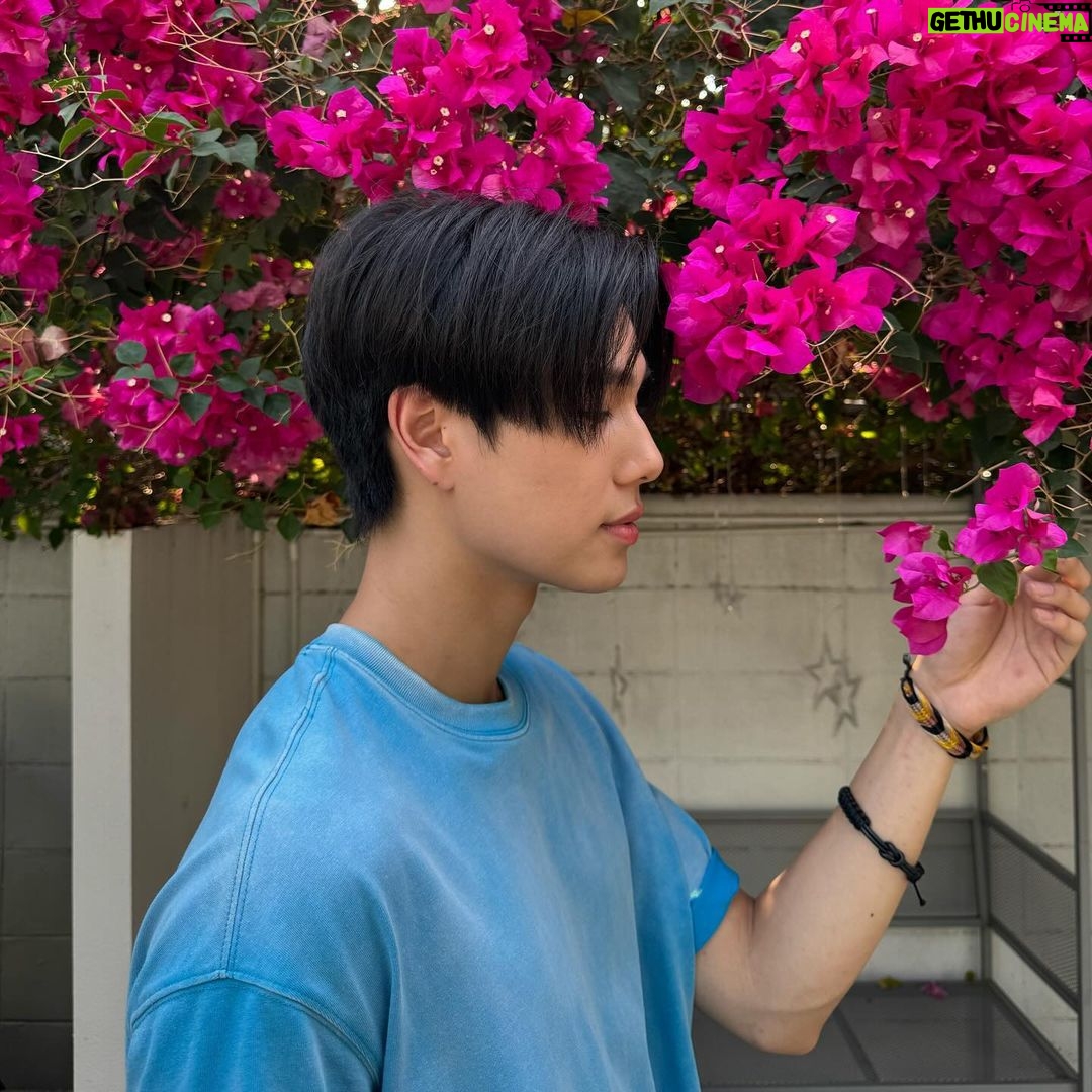 Phuwin Tangsakyuen Instagram - กลิ่นดอกไม้
