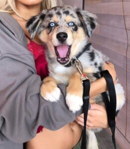 Pia Mia Instagram - happy times with blue willow