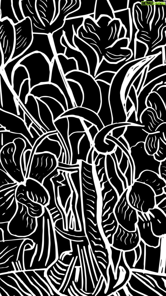 Pierce Brosnan Instagram - @piercebrosnanofficial is excited to release his latest print edition titled “Malibu Tulips”. 🌷Tulips represent love, happiness and joy and in the spirit of love, “Malibu Tulips” will be released in four color variants (Red, Green, Pink and Blue), with a matching set that also contains an additional color variant (Black). Enjoy the behind the scenes sneak peak 😉🪄…more to follow soon. The “Malibu Tulips” series will be releasing on Tuesday 2.13.24 at 10:00 AM PST / 1:00PM EST @olea.art Be sure to join the waitlist (link in bio 👆) to not miss out. @olea.art _________________ MALIBU TULIPS 4 Color Variants (Red, Green, Pink and Blue) Each an Edition of 30 AP Matching Set of 4 Colors + Black Variant AP Edition of 10 Linocut Print Series 300 gsm Arches 88 Hand Cut Deckled Edge Oil & Rubber Inks Printed on 1958 Vandercook 4 Proofing Press Hand Signed & Numbered 11 x 14 In. 27.94 X 35.56 Cm. Malibu, California