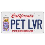 Pierce Brosnan Instagram - It’s National License Plate Day. I had the honor of creating art for a California Pet Lover’s Specialty License Plate, which showcases a painting of my beloved pets Shilo and Angel Baby. This license plate raises funds for free & low cost spay and neuter programs, making a positive impact on animal welfare. © Pierce Brosnan #piercebrosnanart