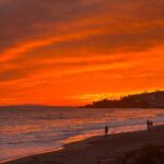 Pierce Brosnan Instagram - My cool cat watching the sunset.