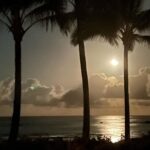 Pierce Brosnan Instagram - Half a moon and just the sound of waves past midnight .