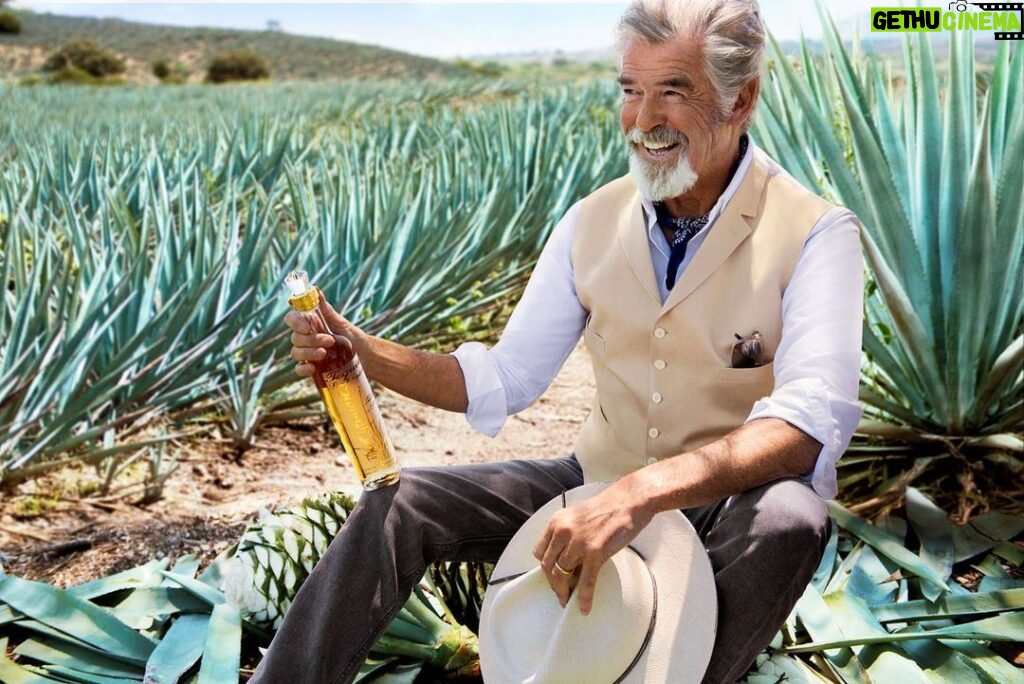 Pierce Brosnan Instagram - There's no better way to celebrate #InternationalTequilaDay later this month than with @casadonramon’s award-winning Punta Diamante Reposado, made from 100% Blue Agave from the highlands of Jalisco, Mexico. Happy celebrating. #ArtofTequila #CasaDonRamon