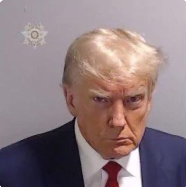 Piers Morgan Instagram - BREAKING: Donald Trump’s police mugshot. The first ever taken of a President of the United States.