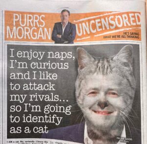 Piers Morgan Instagram - Some purr-sonal news…