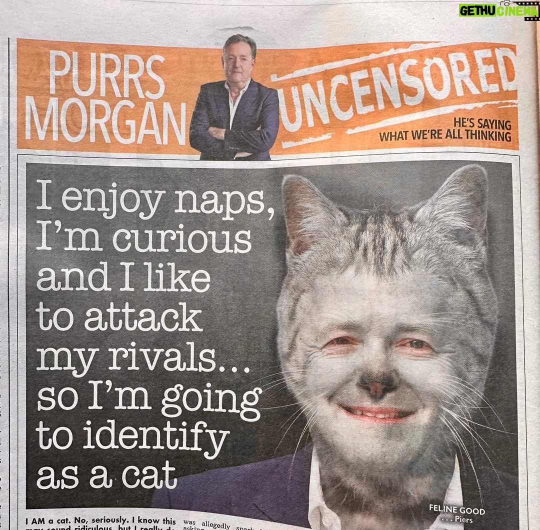 Piers Morgan - 27K Likes - Some purr-sonal news…