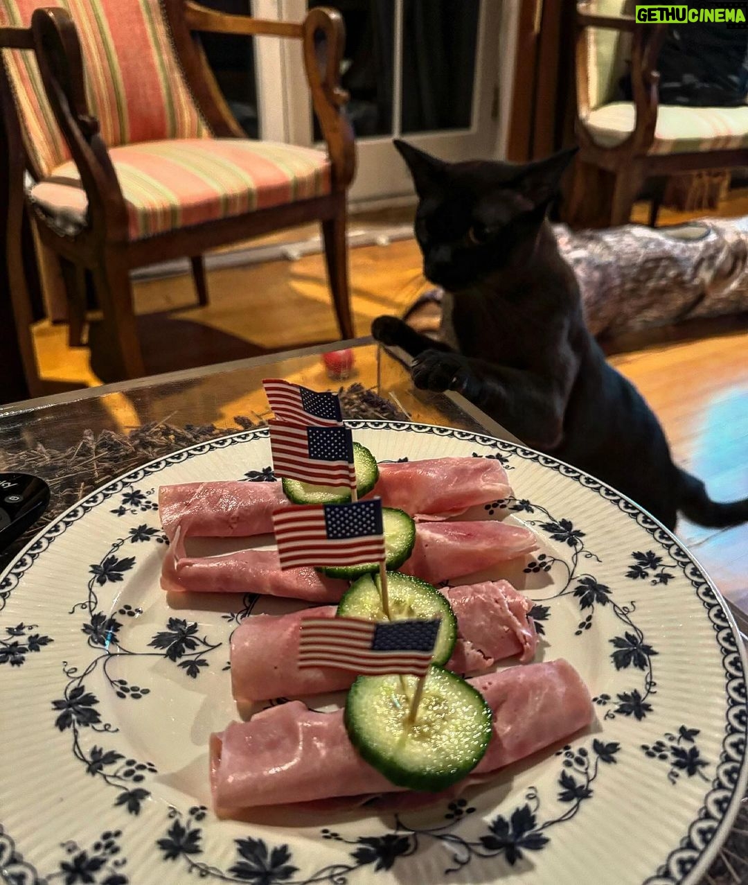 Piers Morgan Instagram - Dennis eyeing up my American-themed protein snack. Back off, buddy. London, United Kingdom