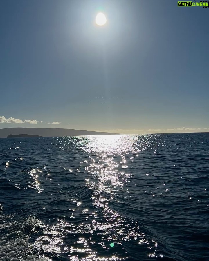 Pietra Quintela Instagram - Outer Banks vibes 🌊🤿🤙🏼🤍 Maui, Hawaii
