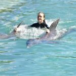 Pietra Quintela Instagram - special day with 🐬’s Atlantis Paradise Island Bahamas