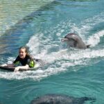Pietra Quintela Instagram - special day with 🐬’s Atlantis Paradise Island Bahamas