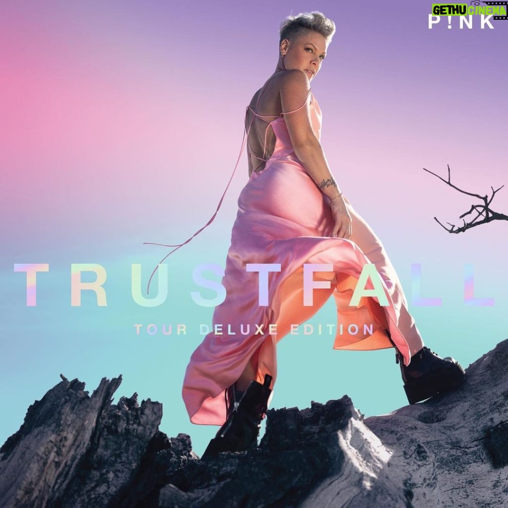 Pink Instagram - TRUSTFALL DELUXE! Featuring 2 exclusive, unheard tracks plus some of my favorite live performances from the 2023 #SummerCarnivalTour is all yours on 12/1 🎉 I can't wait for you to experience them!! Pre-save link in bio.