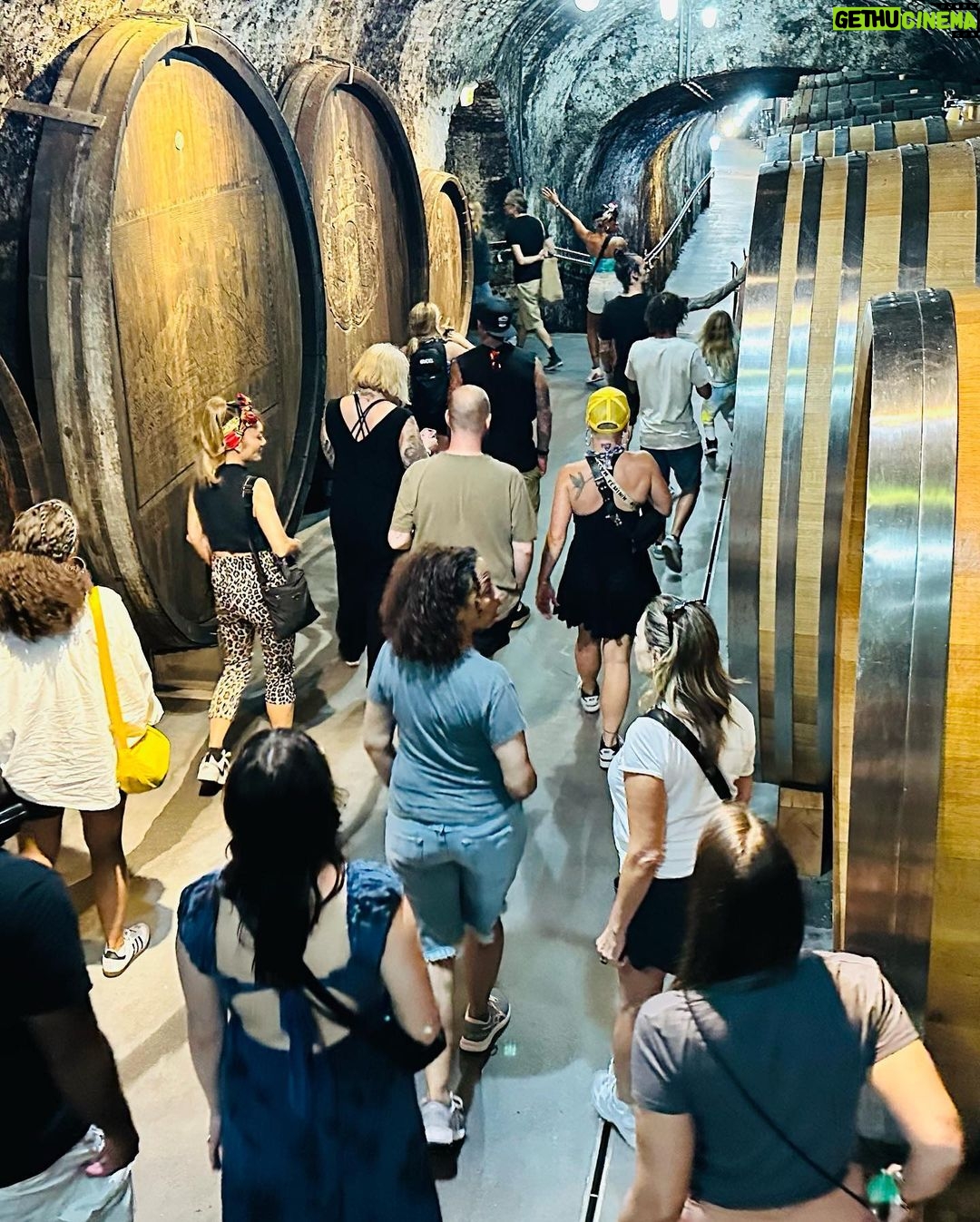 Pink Instagram - Vienna. Austria. Wachau. Beautiful people. Beautiful shows. Beautiful wines. Perfect memories that will last a lifetime. Thank you from the bottom of our hearts. 💕